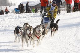 Lenk 2012 SM